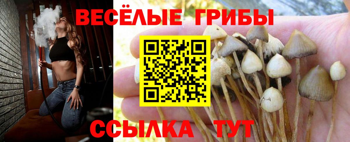 Псилоцибиновые грибы MAGIC MUSHROOMS  Вход с VPN  Псилоцибиновые грибы GOLDEN TEACHER  Верхняя Салда 